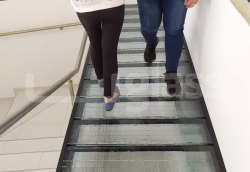   » Clic para agrandar ->